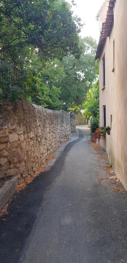 Jolie Maison De Ville La Petite Magnanerie La Roque-d'Antheron Eksteriør billede
